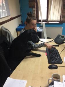 Inca the Dog Helping Out at Bluestep