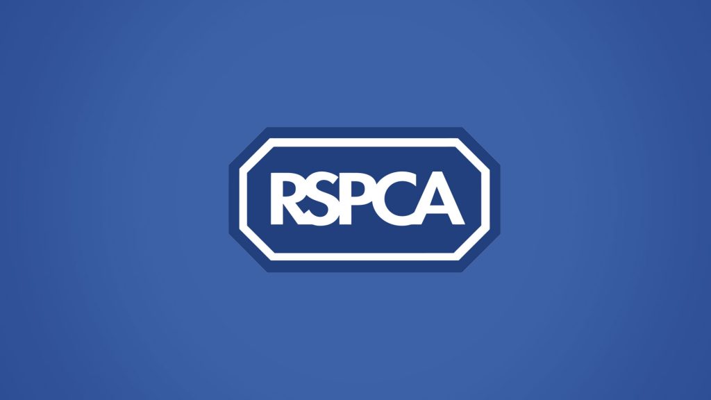 Rspca - Chicken Challenge - Bluestep Solutions