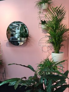 An image showing plants at London Design Fair 2017