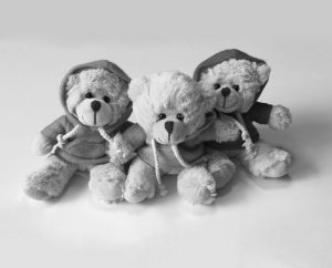 An image showing the teddy bears sold on Kingswood's e-commerce store